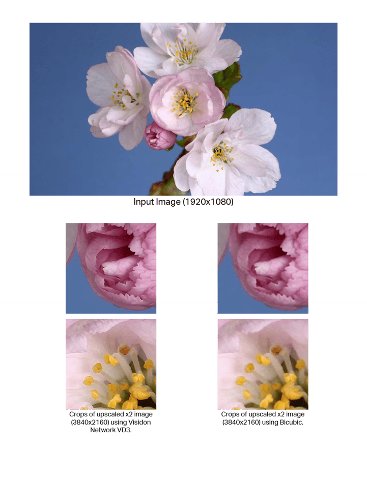 Visidon network super resolution VD3 flower image