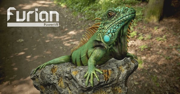 Furian Iguana