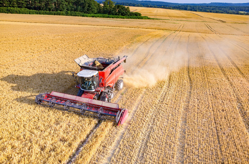 combine harvester in a field