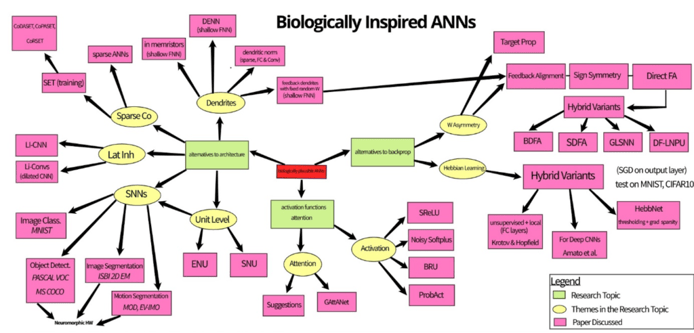 Biologically Inspired ANNs