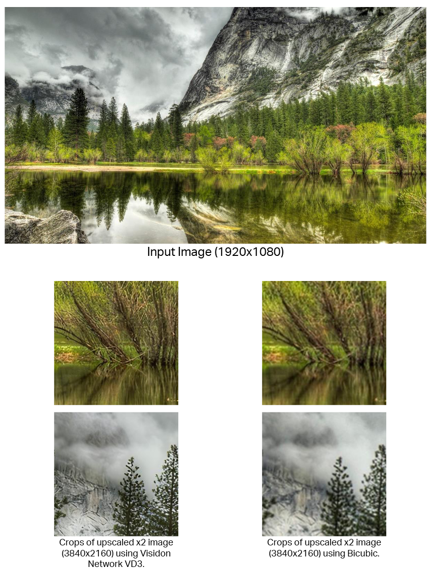 Visidon network super resolution VD3 trees image