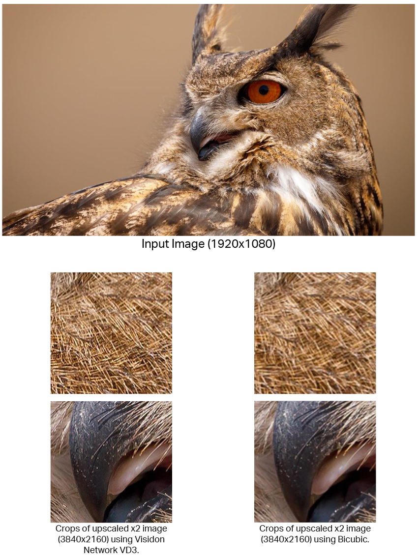 Visidon network super resolution VD3 owl image