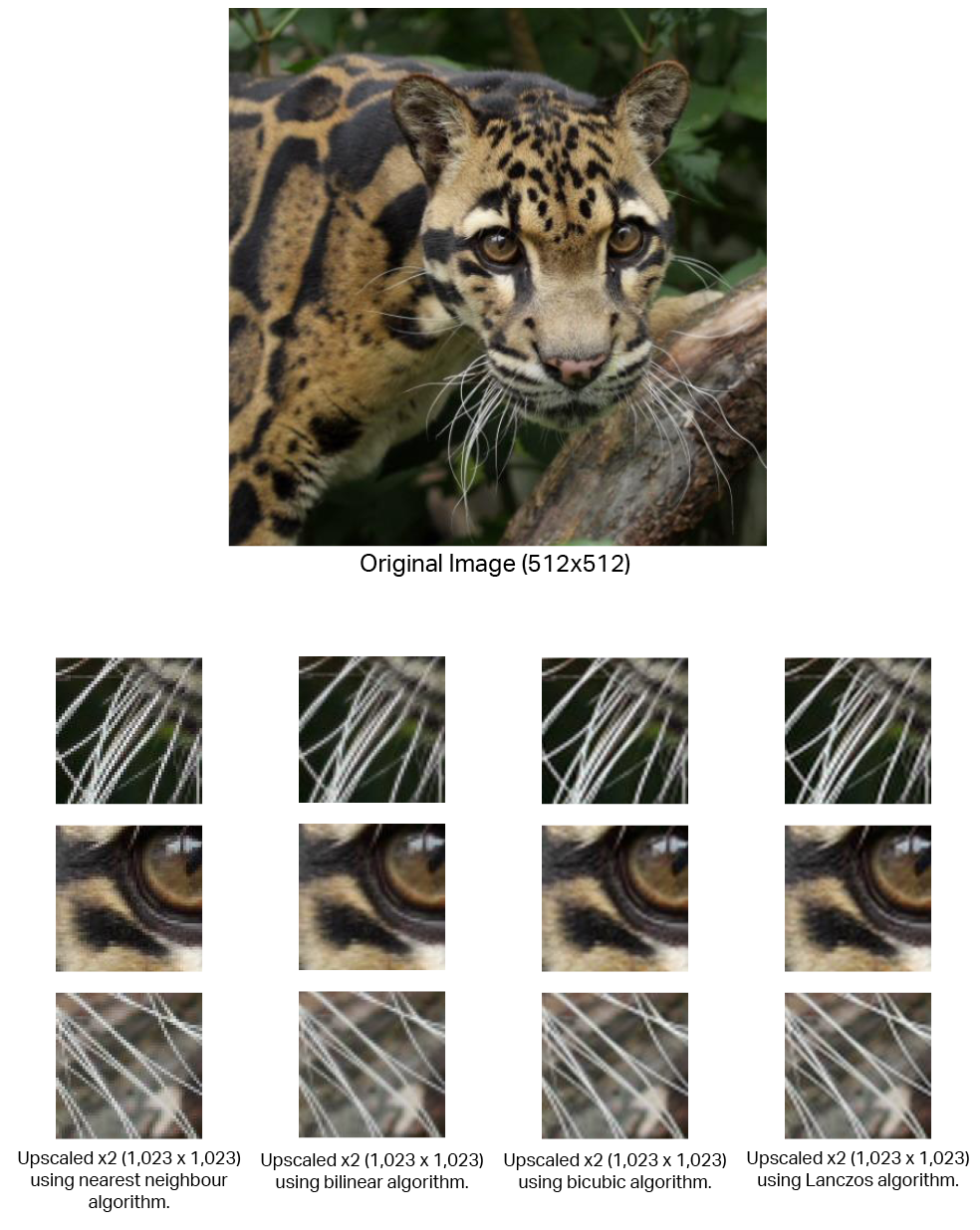 traditional image algorithm comparisons
